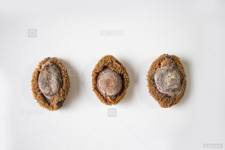 當(dāng)鮑魚遇見快干錘紋漆 一場(chǎng)關(guān)于時(shí)間與工業(yè)的迷思