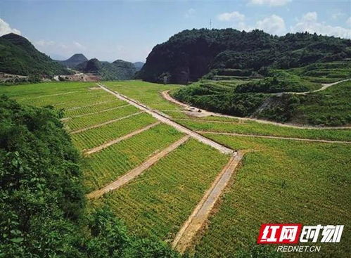 湖南生態(tài)環(huán)境保護(hù) 以“人民戰(zhàn)爭”匯聚磅礴力量，筑牢生態(tài)安全屏障
